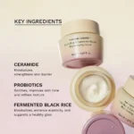 Black Rice 5 Ceramide Barrier Moisturizing Cream 50ml - Image 3